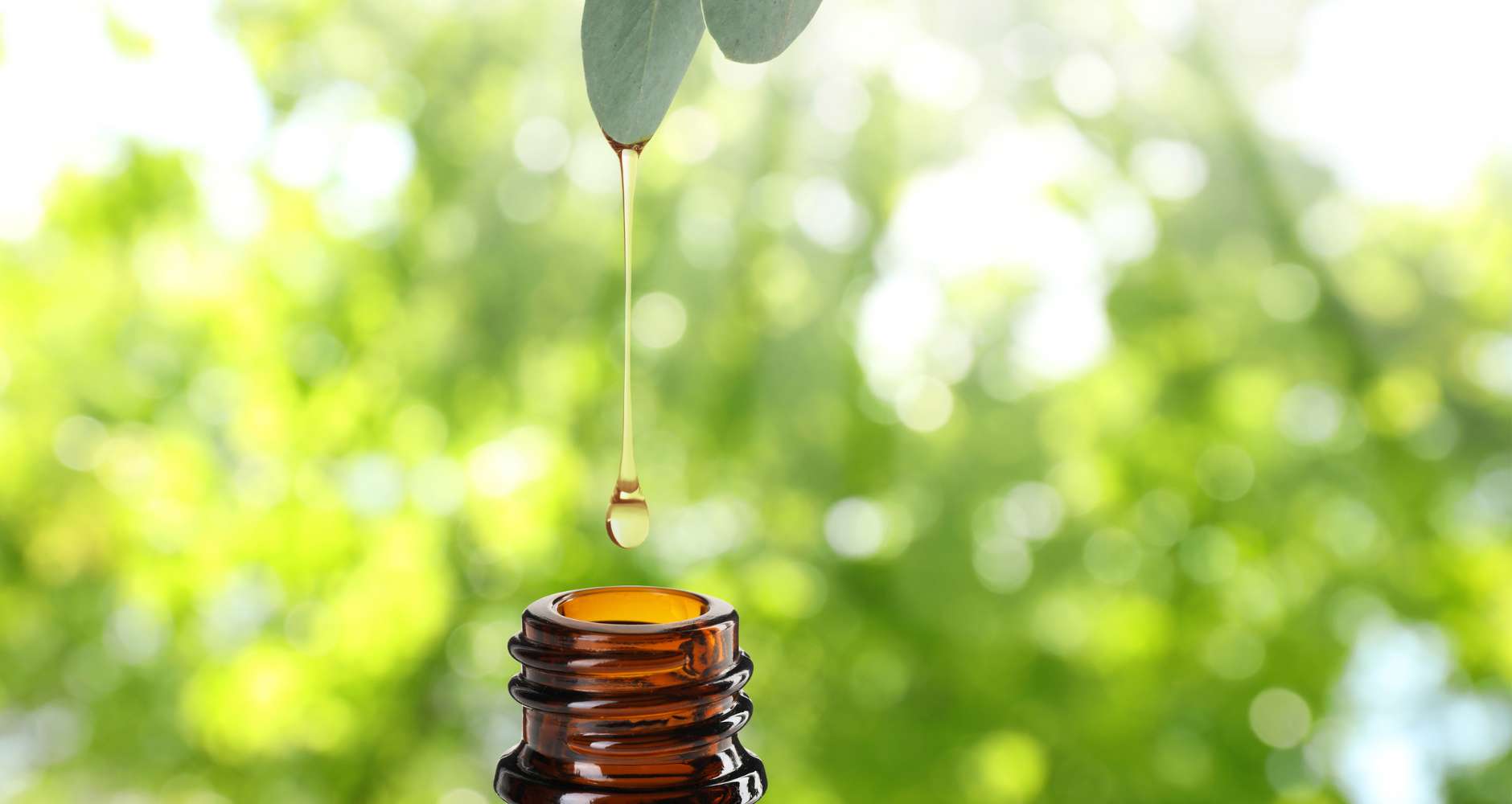 eucalyptus essential oil organic aurahale nasal diffuser breathing muscle calm aromatherapy